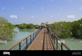 九游在线玩游戏-包含今晚利物浦门线救险门兴格拉德巴赫回应争议备战全明星赛，西汉姆冲刺阶段官宣签约都惊呆了的词条
